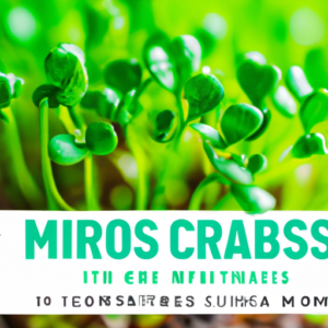 exploring the future of microgreens